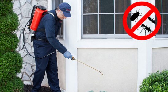 Kandıra Karınca İlaçlama böcek ilaçlama ve haşere kontrolü — ilaclama-tr.com